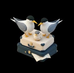 Two Transita terns and a chick standing on packed suitcases.